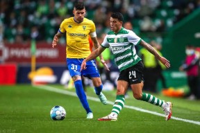 开云体育 -探索·发现栏目简介